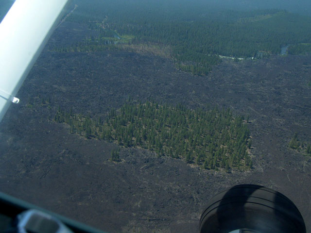 A island of land within the recent lava flow. Look for the Geocache!