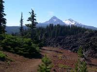 Just north of McKenzie Pass Highway (242) on the PCT.