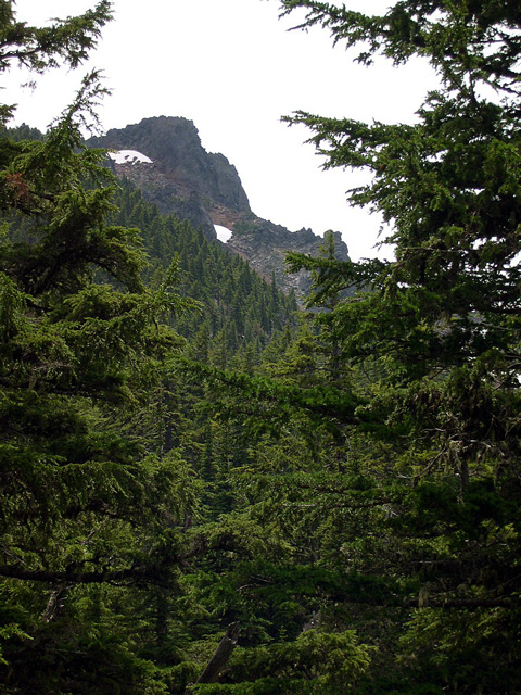 The summit of Black Crater, 7, 260', from the climber's trail