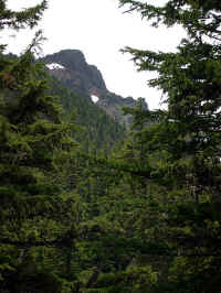 The summit of Black Crater, 7, 260', from the climber's trail