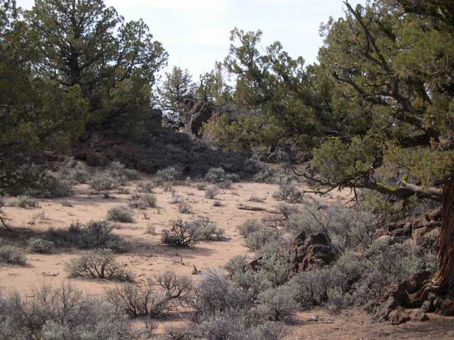 On the trail to Flat Iron