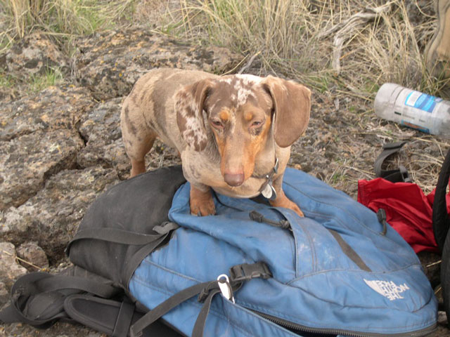 Baron Max von Munchausen on a seven mile hike in The Badlands