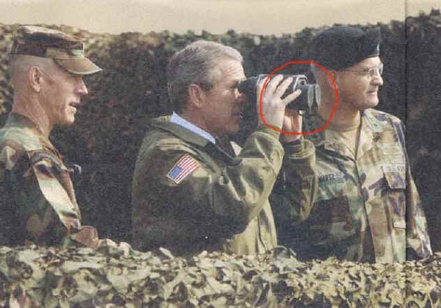 Bush overlooking the environment