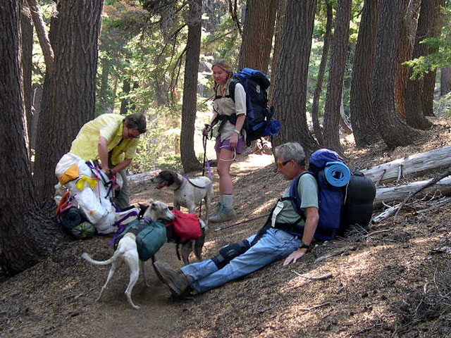 Chris and Courtney Jett, Bob Sandberg and their dogs.