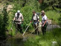 ODFW Biologist Jim Ruzycki collecting all the juveniles from the riffle adjoining the pool, team on the back pass