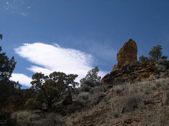 The high desert