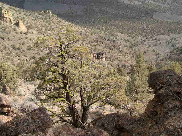 A steep climb down into the valley behind Smith Rock