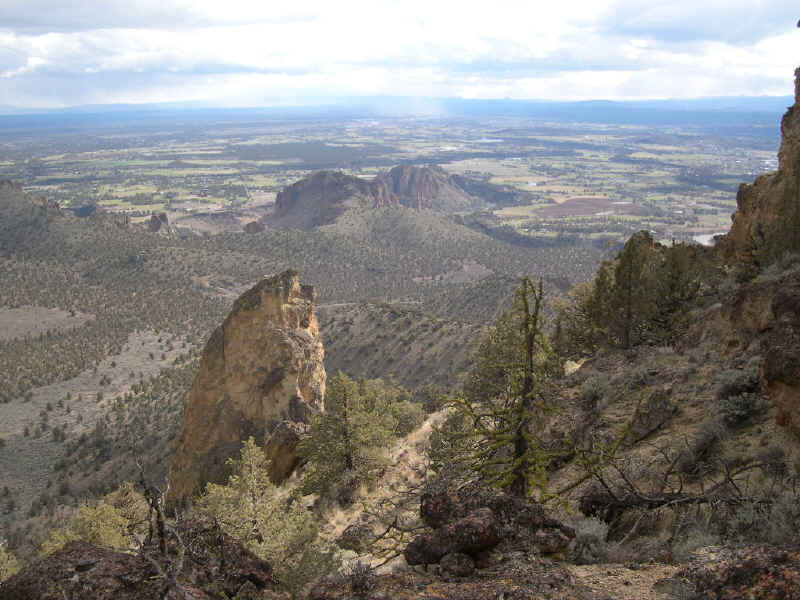 Roosting above Smith Rock