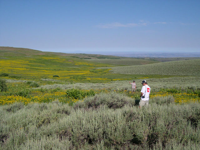 On the approach to the summit