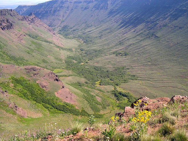 We could see some Keiger Mustangs grazing below