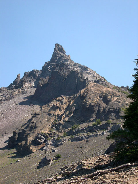 View back up the hill, with the sun at the side.