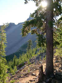 Mt. Thielsen from the PCT junction, early in the morning.