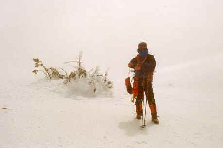 Where did we leave the snowshoes (and the machines)?